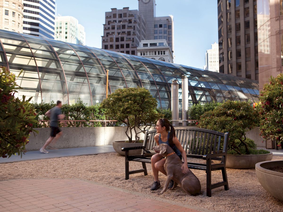 A woman sits on a bench in an urban garden with her dog while a jogger runs past. The scene has tall buildings and a glass structure in the background.