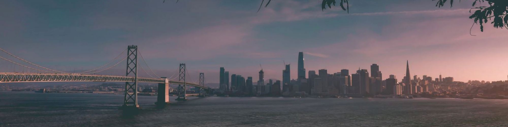 This image shows a view of a city skyline with a bridge over the water, captured during dusk with a pink and purple sky, framed by tree branches.