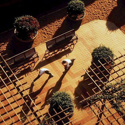 Two people are sitting on wooden benches, surrounded by potted plants and lattice structures, creating a patterned shadow on the ground.