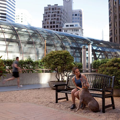 A woman sits on a bench with a dog in an urban park, while a man jogs in the background. Buildings and greenery surround the area.