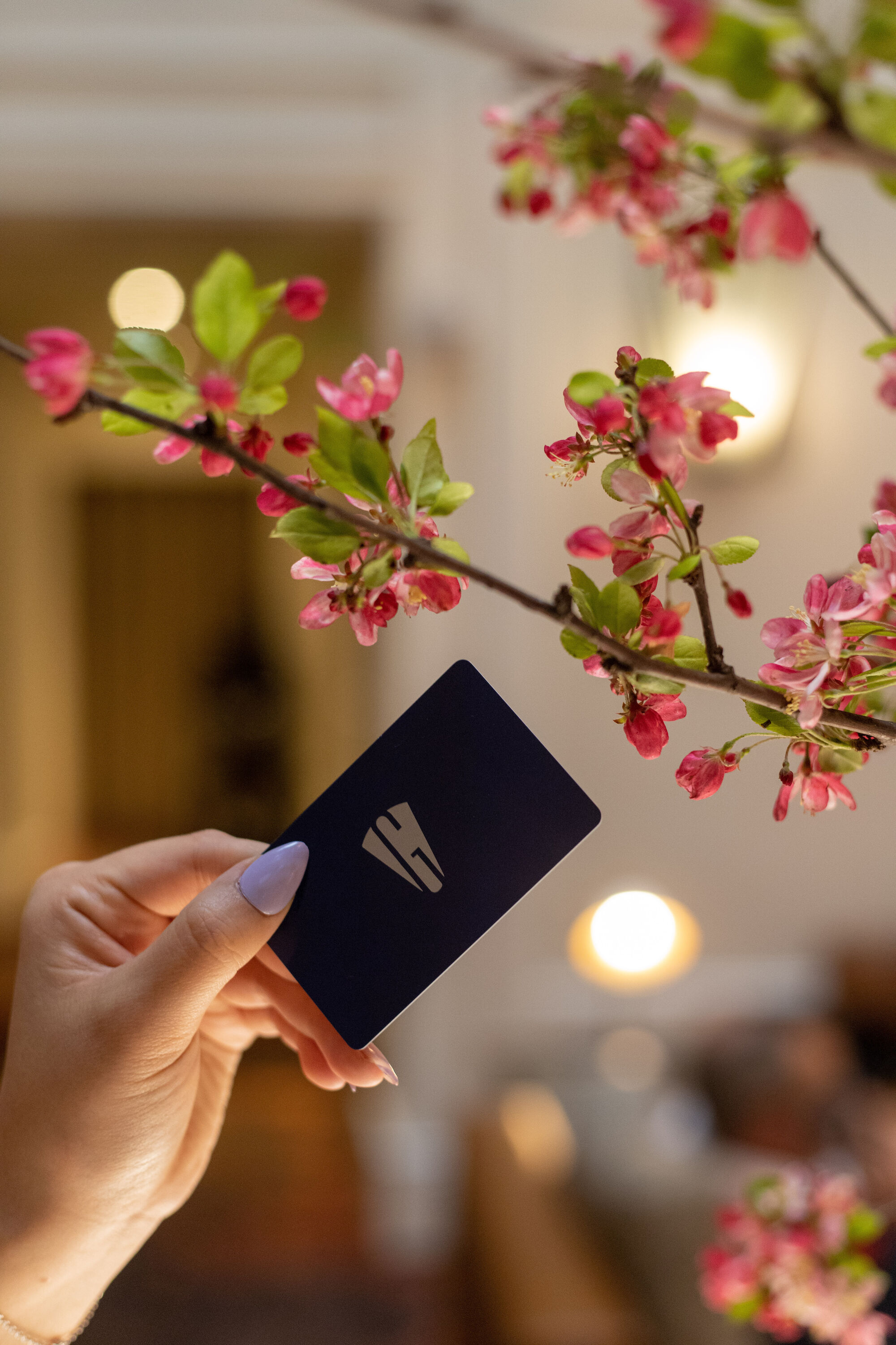 A hand holds a navy card or cardholder near pink blossoms on a branch, with a softly lit indoor background.