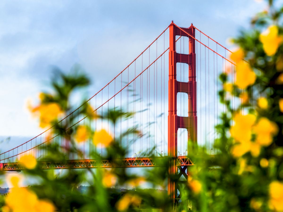 golden gate bridge in the spring