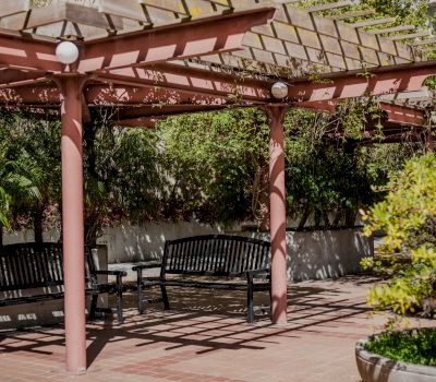 A pergola with benches and plants in the Galleria Park Hotel's outdoor patio