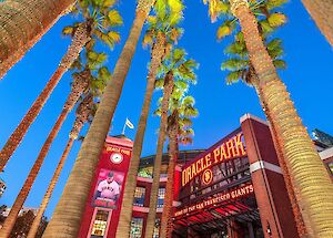 The image shows the entrance of Oracle Park in San Francisco, lined with tall palm trees against a clear blue sky.