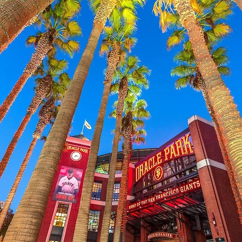 The image shows the entrance to a baseball stadium, Oracle Park, surrounded by tall palm trees and colorful lighting.