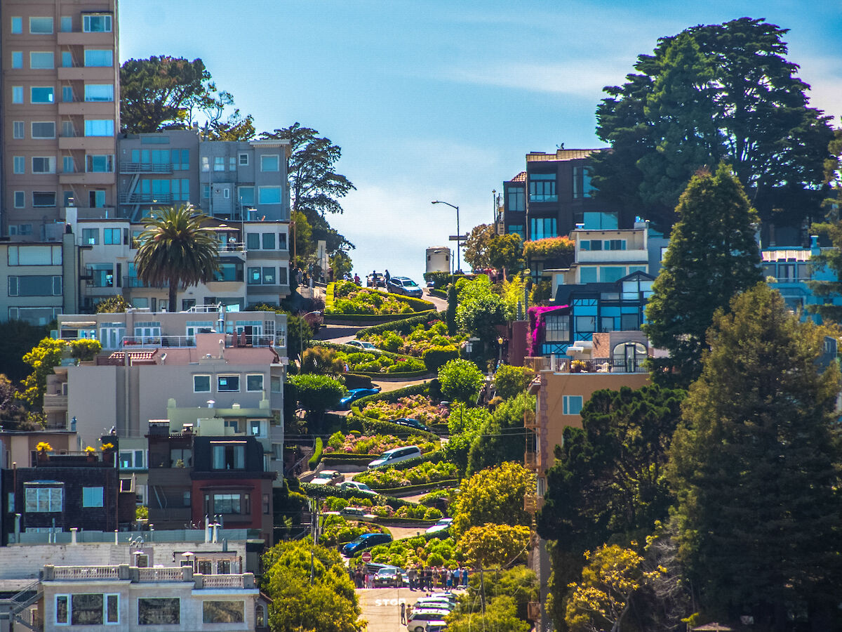 A winding street lined with colorful houses and lush greenery on a sunny day, surrounded by tall trees and urban buildings.
