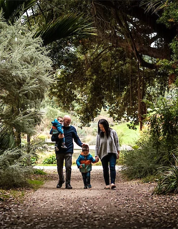A family of four is walking through a lush, green forest path surrounded by trees and foliage.